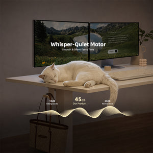 Claiks Electric Standing Desk