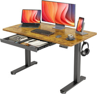 Electric Adjustable Height 48 x 24 Inch Stand Up Desks, Sit Stand Computer Desk for Home Office, Rustic Brown