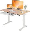 Height Adjustable Desk 48 x 24 Inch Stand Up Desk, Electric Sit Stand Computer Desk for Home Office, Natural