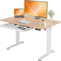 Height Adjustable Desk 48 x 24 Inch Stand Up Desk, Electric Sit Stand Computer Desk for Home Office, Natural