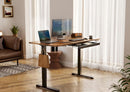 Rustic Brown 55 Inch Standing Desk with Storage Drawer, Electric Adjustable Height Computer Desk for Home Office, Gaming