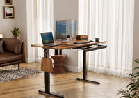 Rustic Brown 55 Inch Standing Desk with Storage Drawer, Electric Adjustable Height Computer Desk for Home Office, Gaming