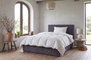 Solea Cloud Boneless Bed - Innovar